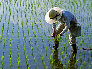 事業化希望コース イメージ3